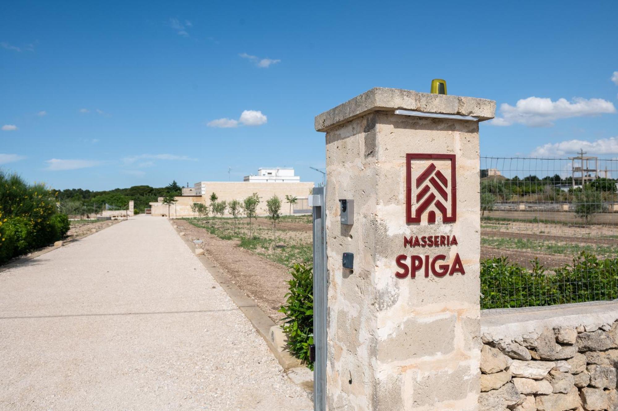 Masseria Spiga Гравина ин Пулия Екстериор снимка