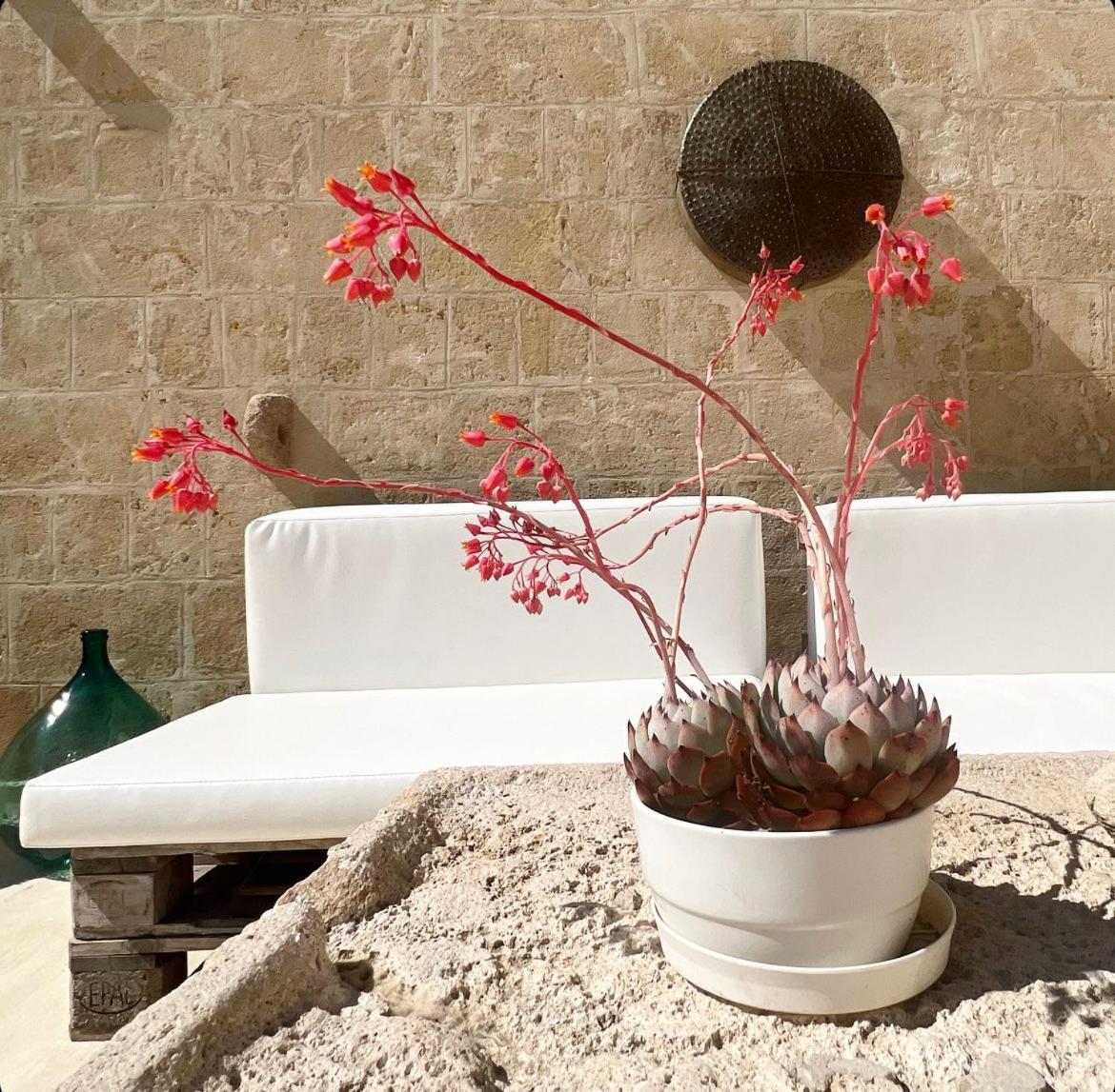 Masseria Spiga Гравина ин Пулия Екстериор снимка