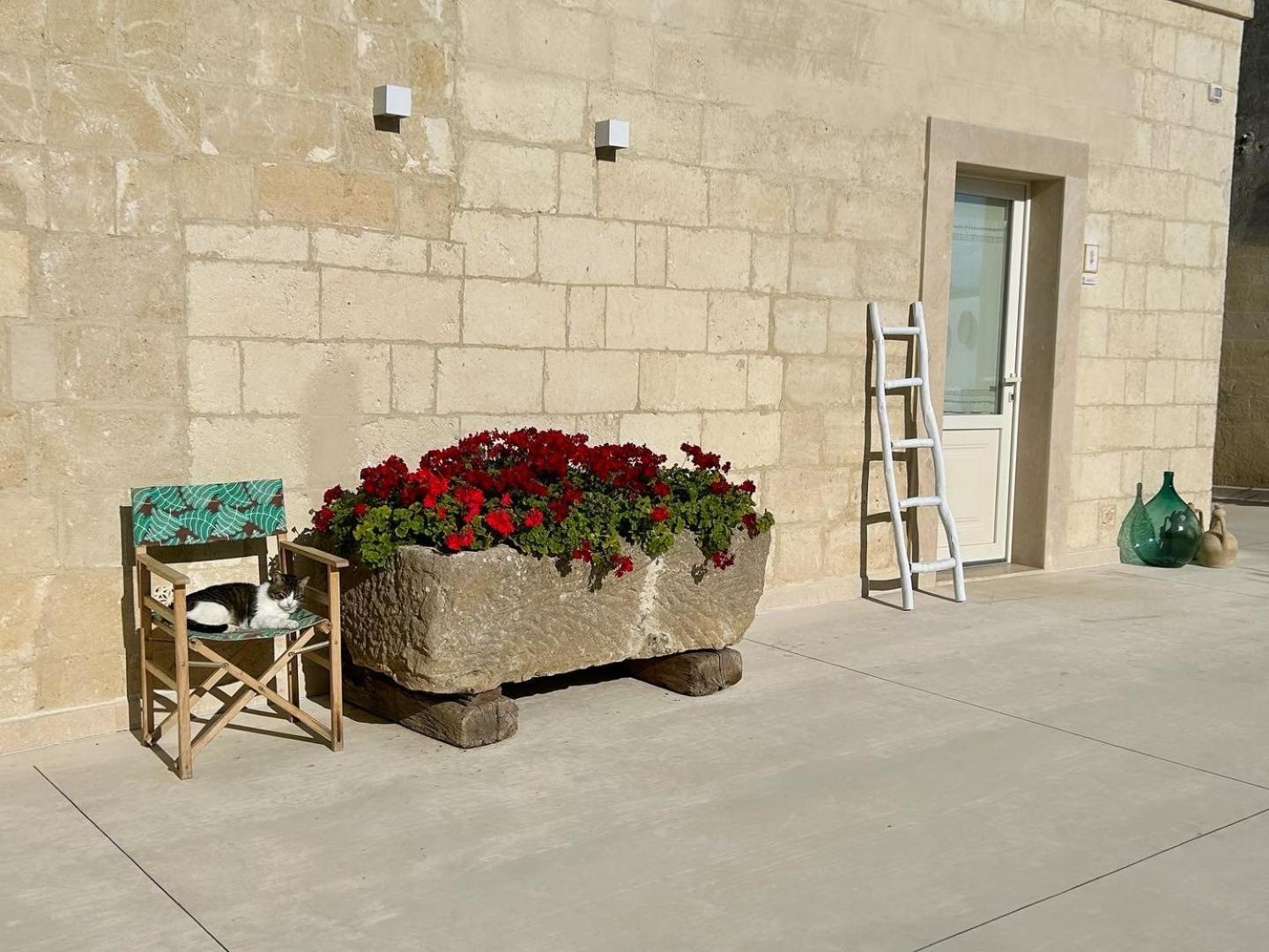 Masseria Spiga Гравина ин Пулия Екстериор снимка