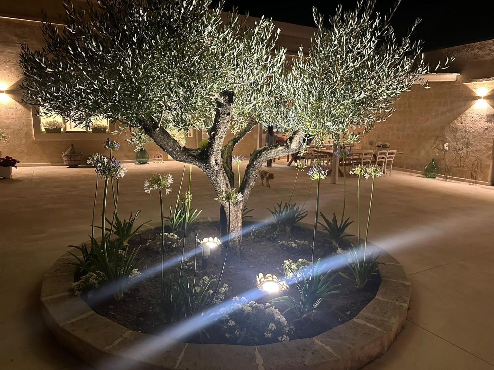 Masseria Spiga Гравина ин Пулия Екстериор снимка