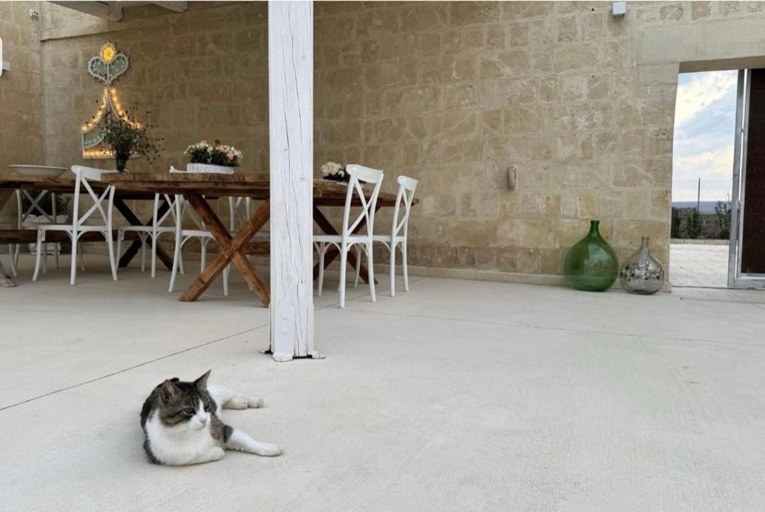 Masseria Spiga Гравина ин Пулия Екстериор снимка